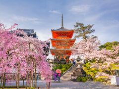 Japan_Kyoto_Kiyomizu-dera Temple_cherry blossoms_shutterstock_1017748132
