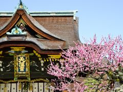 Japan_Kyoto_Kitano_Tenmangu_shutterstock_569172907