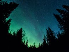 Finland_Rovaniemi_Northern-Lights