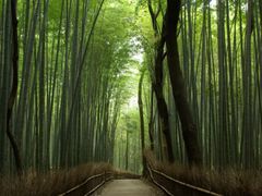 嵐山