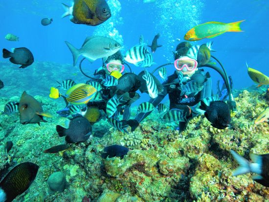 青の洞窟 体験ダイビング　2名に対しガイド1名の充実サポート！写真データプレゼント♪お魚エサあげ体験付＜ボート／ガイド貸切／恩納村ショップ集合＞