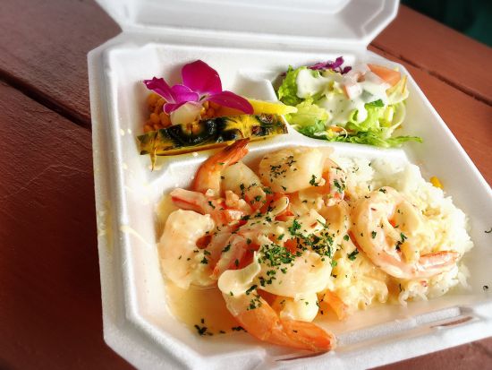 ノースショア（ハレイワ）観光　ハレイワタウンで3時間の自由散策＋ドールプランテーション！海辺の絶景を楽しめる乗馬付き(70分)プランあり＜1日／送迎付き＞