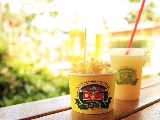 ノースショア・ステーブルズ　四輪バギー体験（45分） バギーでオフロードを疾走＋ハレイワタウン自由散策+ドールプランテーション立ち寄り付き！＜半日／送迎付き＞