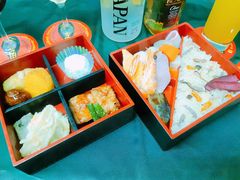 金魚コース 2019 緑(2)