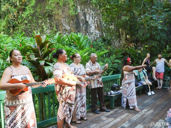 シダの洞窟 観光遊覧船　ハワイ唯一の航行可能な川を行く！＜英語ガイド／半日＞