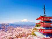 Japan_Tokyo_ Chureito Pagoda and Mt. Fuji_cherry blossoms_shutterstock_496829791