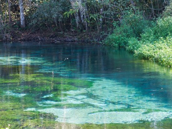 Brazil_Bonito_Sucuri river_shutterstock_1121160191