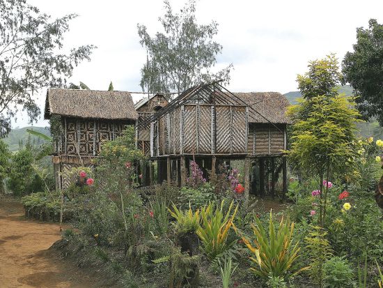 アカメク村　シンシン（民族舞踊）鑑賞　半日観光ツアー＜英語ガイド付き／ゴロカ発＞