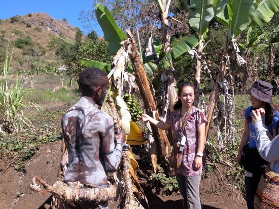 グルポカ山　ハイキング＆ゴーストダンス鑑賞　半日観光ツアー＜英語ガイド付き／ゴロカ発＞
