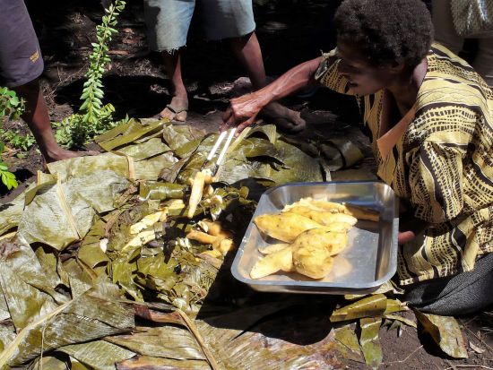 アサロ渓谷　マッドマンの村を巡る　半日観光ツアー＜英語ガイド／昼食付き／ゴロカ発＞