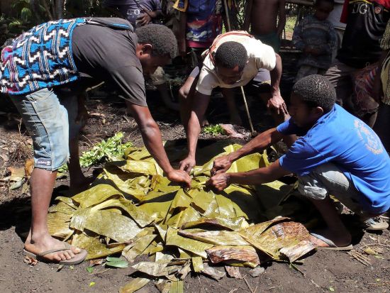 アサロ渓谷　マッドマンの村を巡る　半日観光ツアー＜英語ガイド／昼食付き／ゴロカ発＞