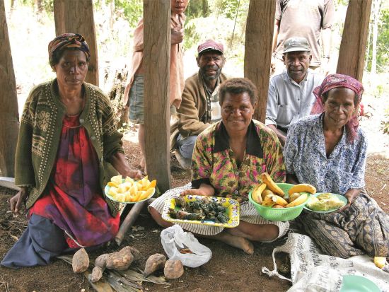 ダウロ峠　トレッキングツアー　伝統料理の昼食付き！＜英語ガイド付き／ゴロカ発＞