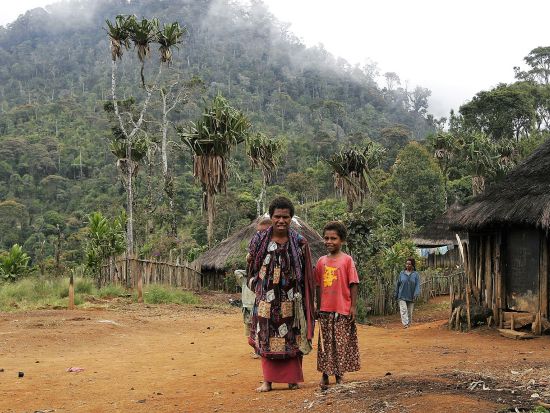 ダウロ峠　トレッキングツアー　伝統料理の昼食付き！＜英語ガイド付き／ゴロカ発＞