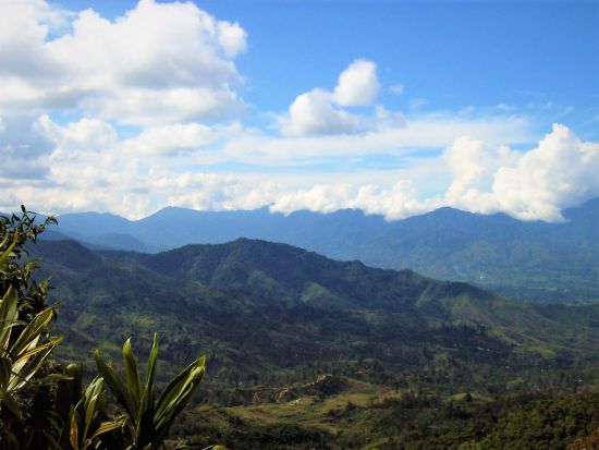ダウロ峠　トレッキングツアー　伝統料理の昼食付き！＜英語ガイド付き／ゴロカ発＞