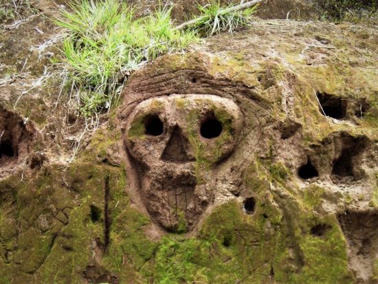 ダウロ峠　トレッキングツアー　伝統料理の昼食付き！＜英語ガイド付き／ゴロカ発＞