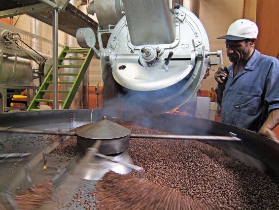 ゴロカ市内　半日観光ツアー＜英語ガイド付き／ゴロカ発＞