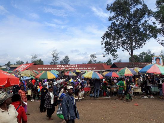 ゴロカ市内　半日観光ツアー＜英語ガイド付き／ゴロカ発＞