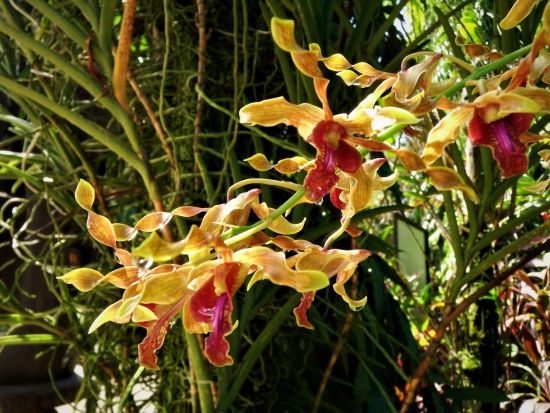 ポートモレスビー市内　半日観光ツアー＜英語ガイド／昼食付き／ポートモレスビー発＞