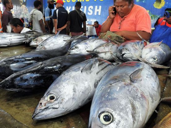 ポートモレスビー市内02