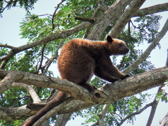ポートモレスビー市内　半日観光ツアー＜英語ガイド／昼食付き／ポートモレスビー発＞