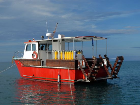 ファンダイビング＜ボート２本＞　英語ガイド付き半日ツアー＜ポートモレスビー発＞