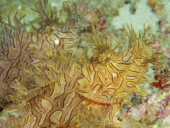 ファンダイビング06