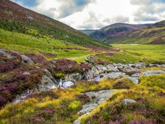 Scotland, Angus, Cairngorms National Park