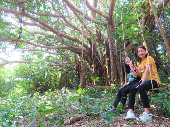 【沖縄 南部 糸満】自然を満喫★沖縄のジャングル探検！家族やお友だちとわくわくジャングルバギーツアー＠糸満観光農園＜１時間／4歳から参加OK／糸満市＞