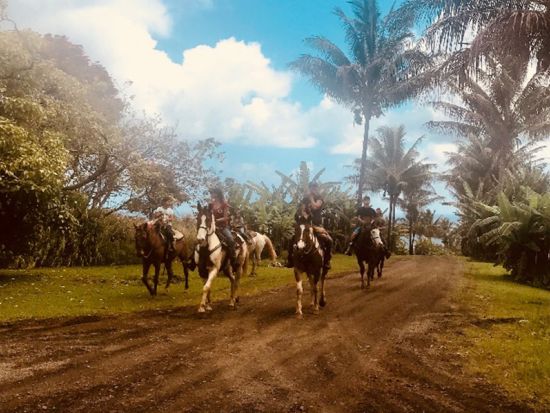 ハワイ島　乗馬ツアー　3段に流れるウマウマ滝でハイキングや滝壺遊びもあり！ ＜午前・午後／英語ガイド＞