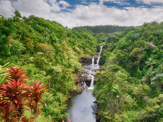 ハワイ島　乗馬ツアー　3段に流れるウマウマ滝でハイキングや滝壺遊びもあり！ ＜午前・午後／英語ガイド＞