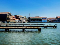 arcachon bay