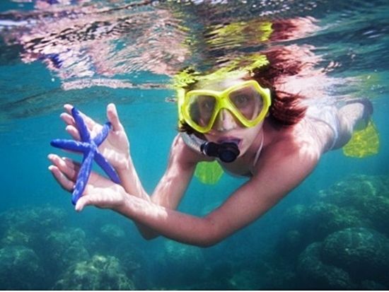 サンドバー　シュノーケリング貸切クルーズ　グループ旅行にぴったり！ゆったりとしたカタマラン船でアレンジ自由自在！＜10名まで／日本語クルー＞