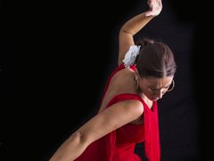 Spain, Flamenco, Dancer