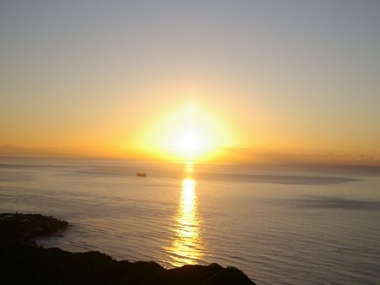 ホエールウォッチ＋ダイヤモンドヘッド日の出ハイキング＜ワイキキ送迎可／11/15～3/31＞