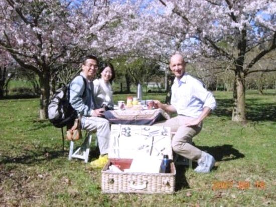 クライストチャーチが誇る3つのプライベートガーデン巡りツアー　クライストチャーチが「ガーデンシティー」と呼ばれる理由に迫る！＜日本語ガイド／送迎あり＞