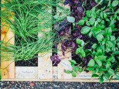 herbbox_jussi_hellsten