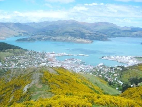 クライストチャーチの人気ガイド クレイグさんと巡る！クライストチャーチ市内観光ツアー＜日本語ガイド／送迎あり＞