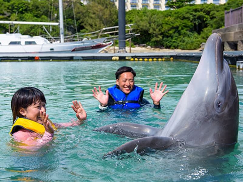 ドルフィンスイム イルカと一緒に泳ごう！美ら海水族館すぐそば＜本部