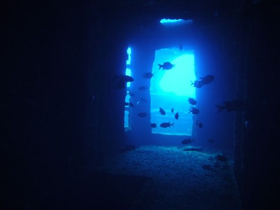 ファンダイビング 沈船（YO257レック）など有名ポイント厳選！リフレッシュコースあり＜ボート／2ダイブ＞by Grand Blue