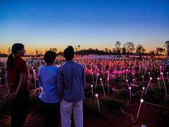 Field of Light-0028