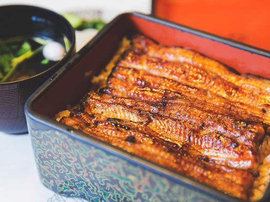 Japan_Generic_unagi_bento_shutterstock_1322968718