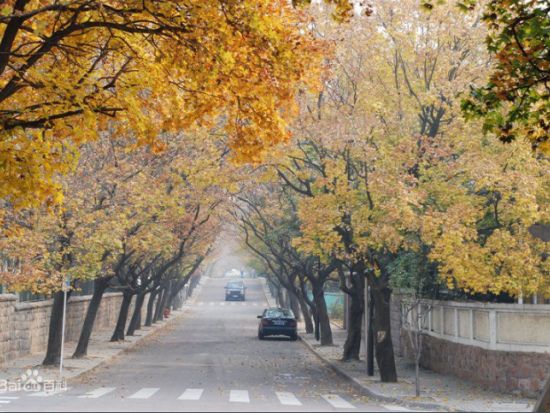 【貸し切りチャーター】2泊3日で巡る青島市内観光ツアー★桟橋＋小魚山公園＋八大関＋迎賓館＜日本語ガイド／昼食付／青島発＞