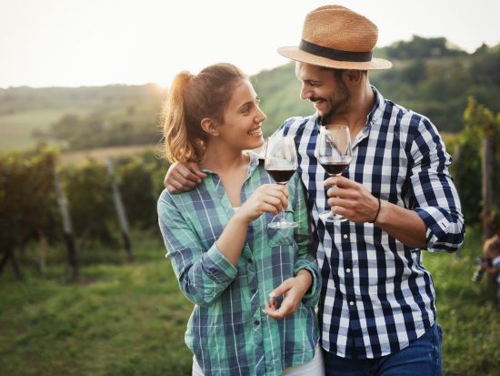 ナパバレー　貸切観光チャーター ＜定員12名／6～11時間／英語ドライバー／サンフランシスコ発着＞