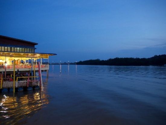 セランゴール川 ホタル観賞ツアー ＜夕食付き／日本語ガイド／クアラルンプール発＞