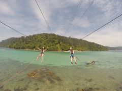 zipline_WEB