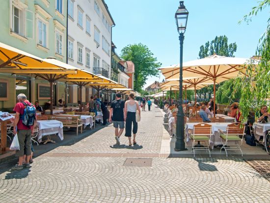 スロベニア 首都リュブリャナ＆ブレッド湖 1日観光ツアー＜英語／ザグレブ発＞