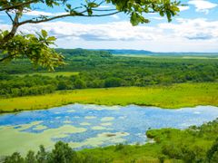 Japan_Hokkaido_Kushiro_Marsh_shutterstock_1118275271