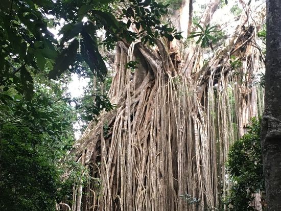 20190309072121_481450818_0