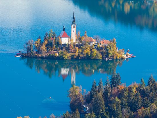 shutterstock_1230634744