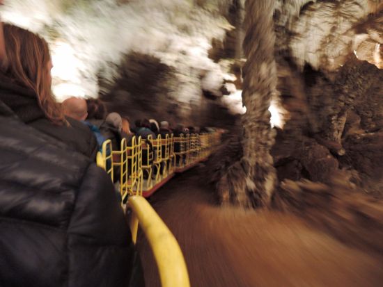 スロベニア首都 リュブリャナ＋ポストイナ鍾乳洞＆プレジャマ城 日帰り観光ツアー＜4～10月／英語／ザグレブ発＞